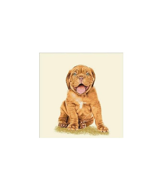 Carré - Bébé dogue de bordeaux Carré - Bébé dogue de bordeaux