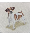 Carré - Jack russell