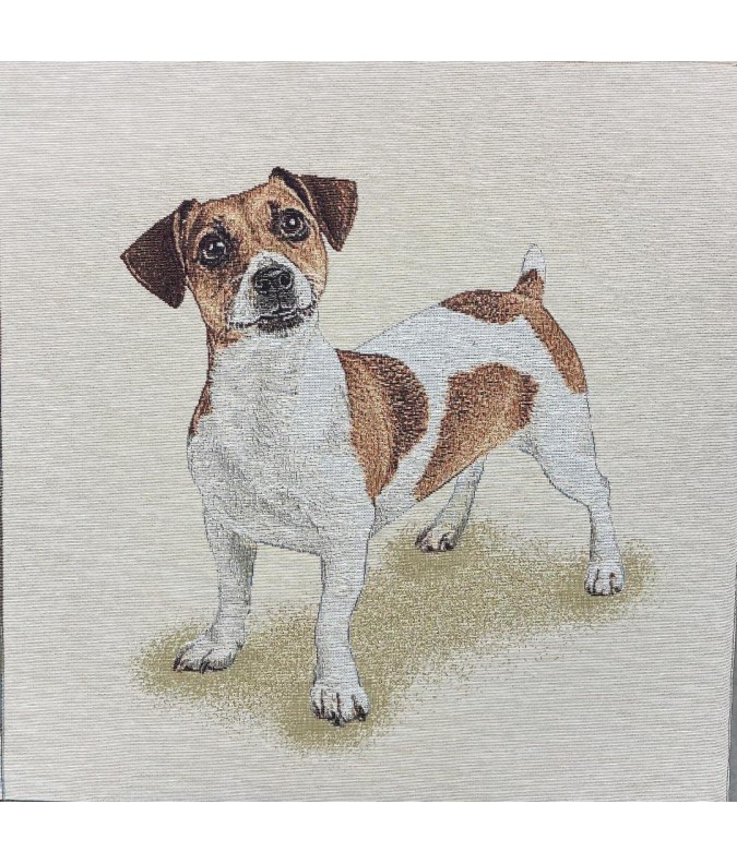 Carré - Jack russell Carré - Jack russell