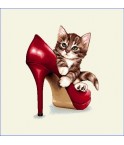 Carré - Chaton et  chaussure