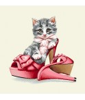 Carré - Chaton et  paire de chaussure