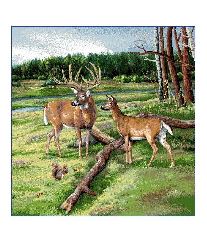 Carré -Cerf et biche Carré -Cerf et biche