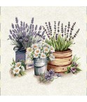Carre-pot lavande et marguerite
