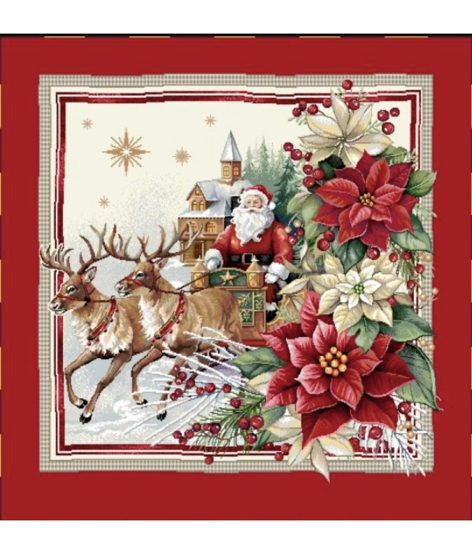 Carre-Pere Noël, poinsetia cadre rouge Carre-Pere Noël, poinsetia cadre rouge