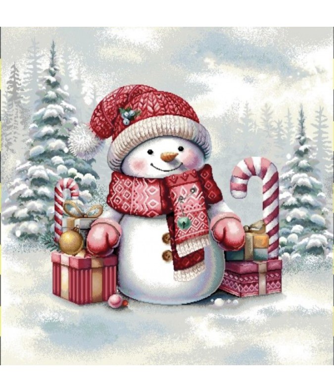 Carre-bonhomme de neige écharpe et bonnet Carre-bonhomme de neige écharpe et bonnet