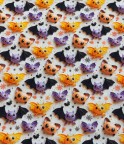 Petite chauve souris coloré de  halloween