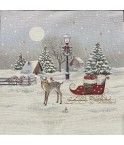 Carre-Faon calèche de Noël