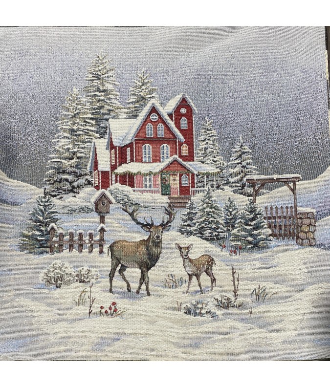 Carre-Cerf et faon devant la maison Carre-Cerf et faon devant la maison