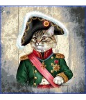 CHAT MILITAIRE