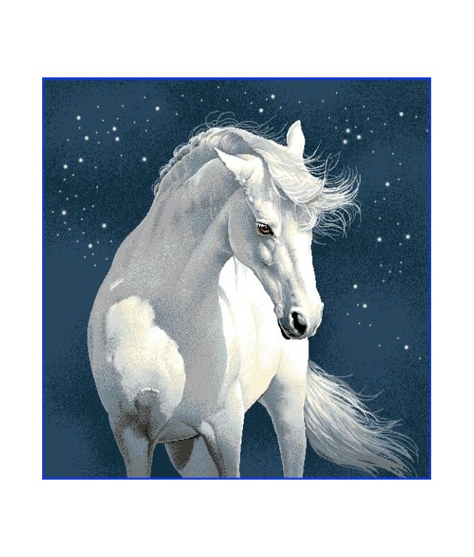 CHEVAL BLANC DANS LA NUIT CHEVAL BLANC DANS LA NUIT