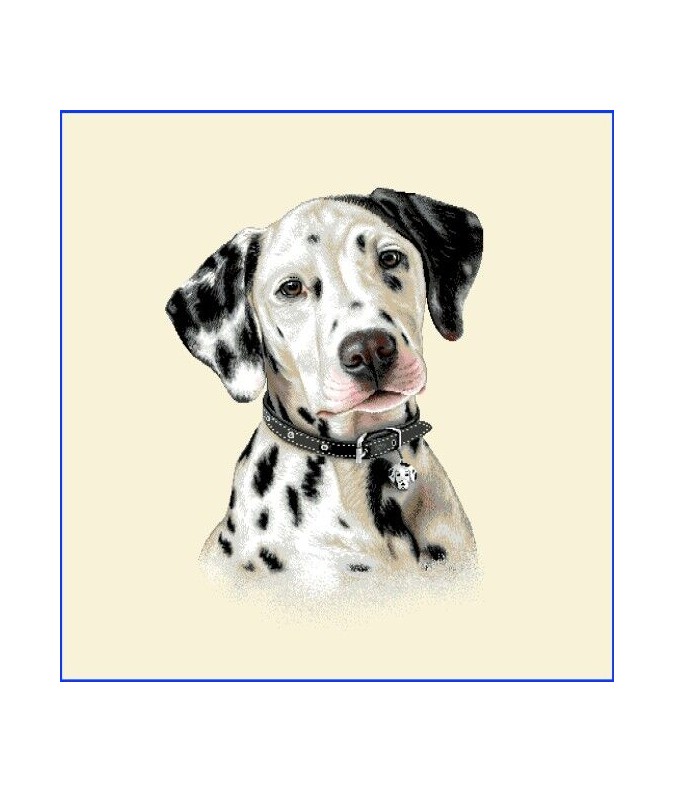 JEUNE DALMATIEN