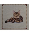 CHAT TIGRÉ ALLONGÉ