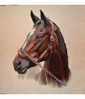 CHEVAL ROBE BAI