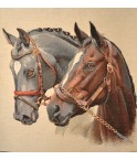 LES CHEVAUX