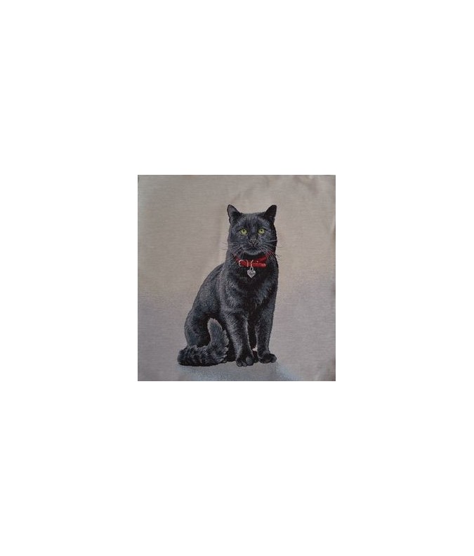 CHAT NOIR CHAT NOIR