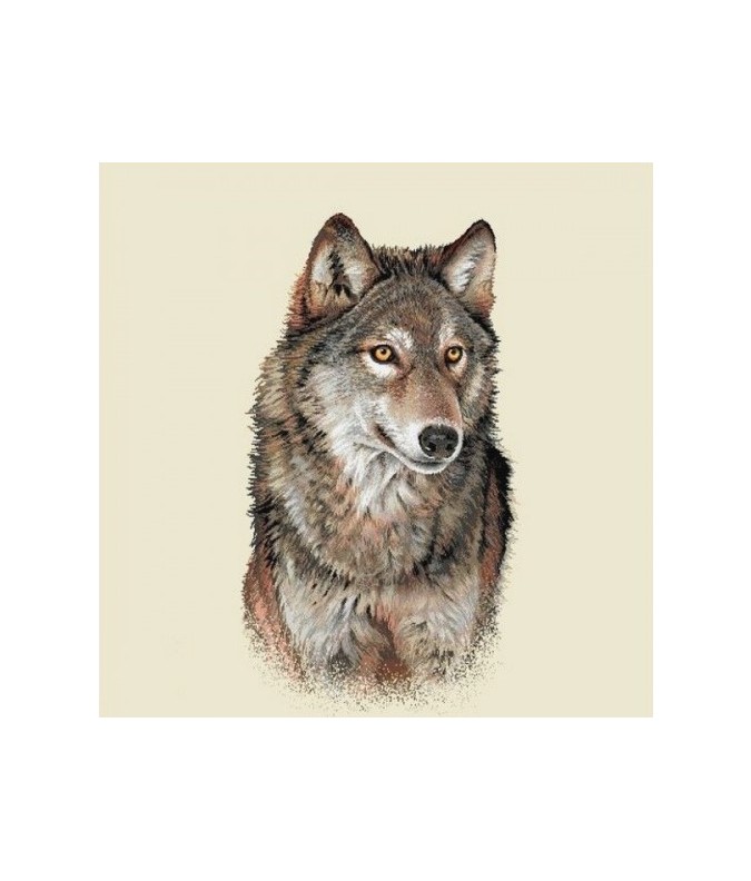 LOUP LOUP
