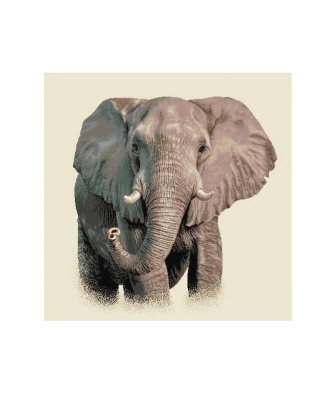 ÉLÉPHANT ÉLÉPHANT