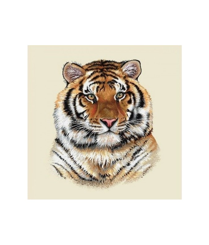 TIGRE TIGRE