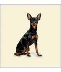 PINSCHER