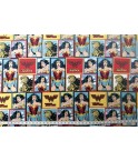 Wonder Woman Fight for justice
