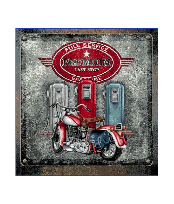 MOTO GASOLINE MOTO GASOLINE