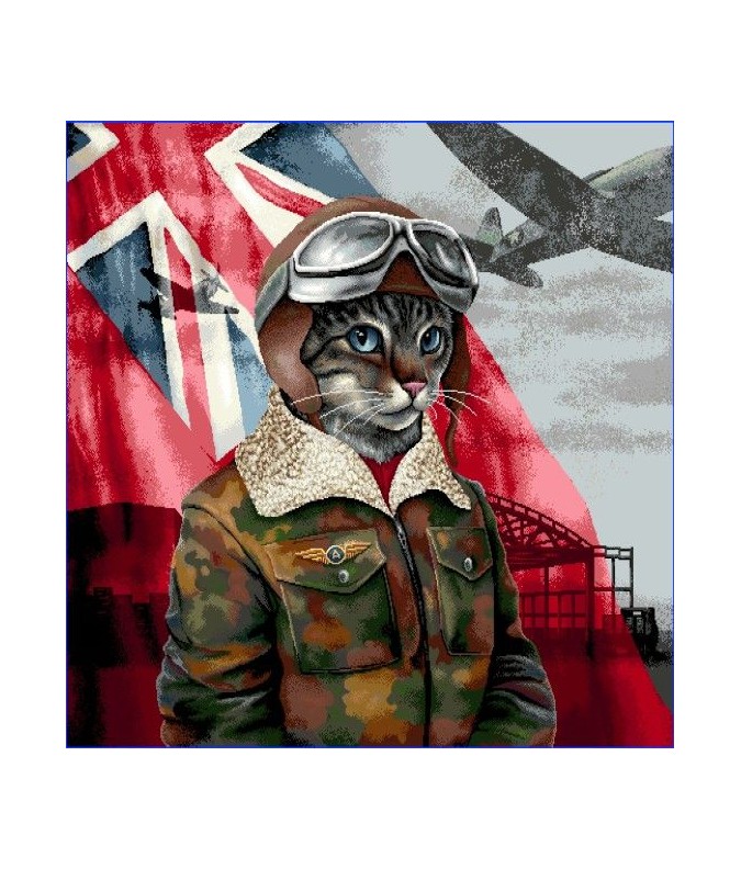 CHAT AVIATEUR CHAT AVIATEUR