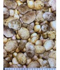 Patch - Pommes de terre